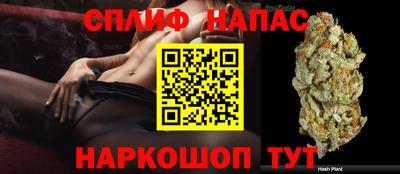 PSILOCYBIN Лесосибирск