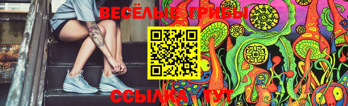 Галлюциногенные грибы Psilocybine cubensis  Вход с VPN  Бирск 